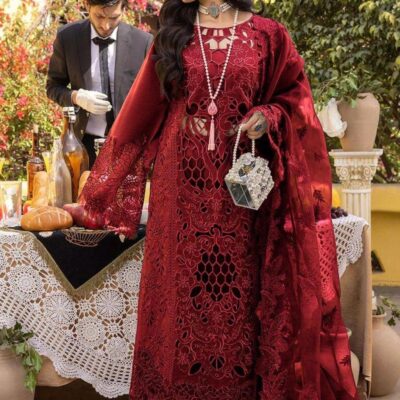 Bin Ilyas Luxury Lawn Embroidered Suit with Organza Dupatta Article 2